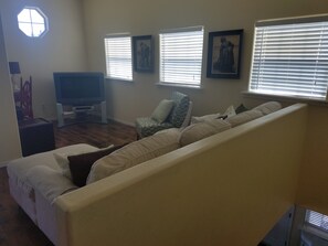 TV, fireplace, DVD player, books