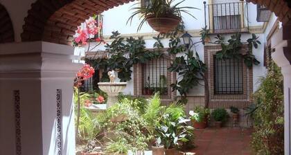 LUXURY APARTEMENT IN THE HISTORIC CENTER OF CORDOBA.PRIVATE PARKING