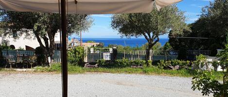 المنطقة المحيطة بالمنشأة