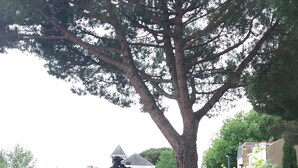 A statue of a soldier on a pedestal, a tree, and a rocky area with a paved path. - MOSAIK, Charmant appartement Nantais (Nantes)