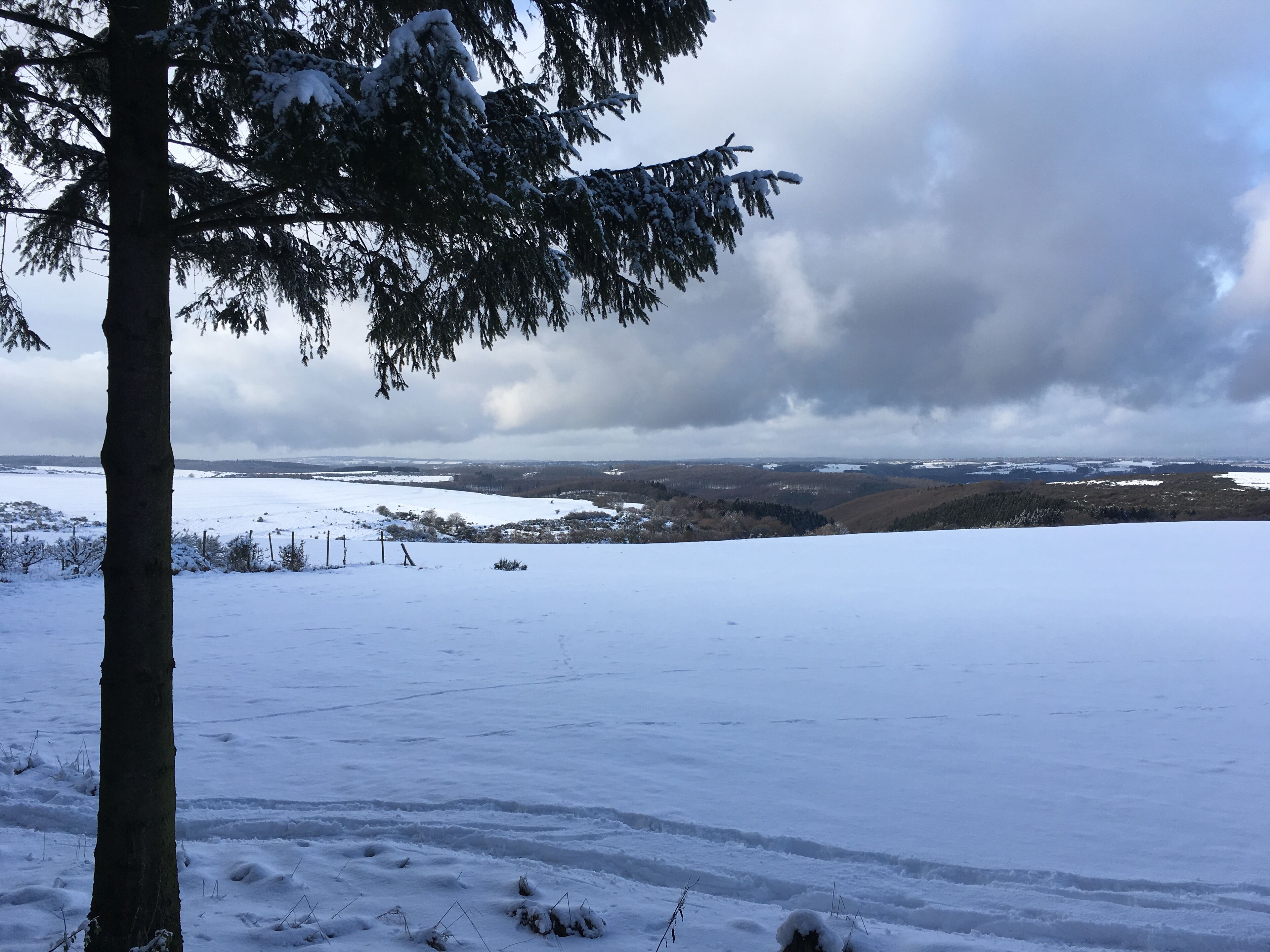 A snowy landscape with a tree in the foreground and a distant view of a hilly area.