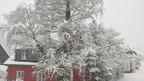Un quartier résidentiel enneigé, avec une maison rouge et un grand arbre devant.