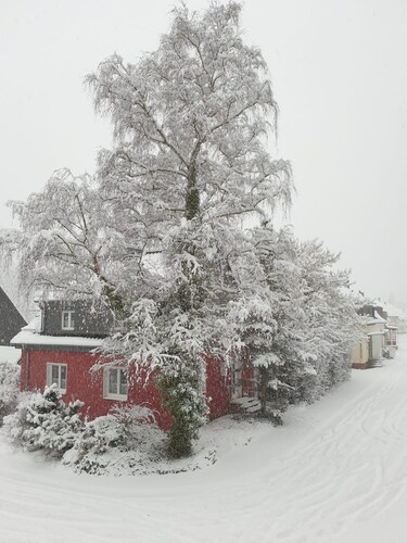 4* Wohlfühl-Haus in Gemünd, ruhige Lage, direkt am Nationalpark, doch citynah