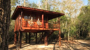 A wooden cabin with a balcony, surrounded by trees.