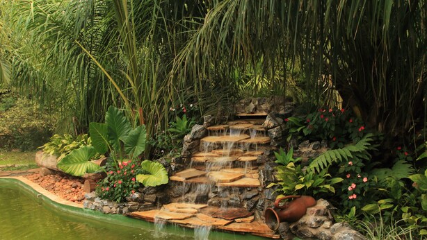 A stone waterfall in a lush garden with dense foliage and a pond.