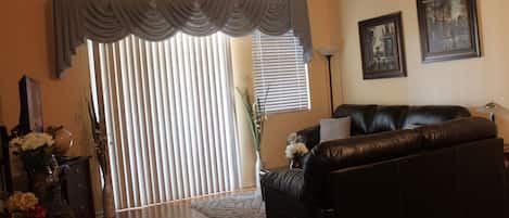 TV, DVD player, books, music library