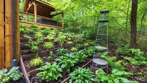 Eine Holzhütte mit Wendeltreppe, umgeben von üppiger Vegetation und verschiedenen Pflanzen.