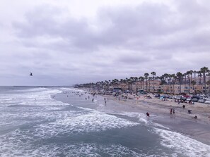 A beach with palm trees and a row of buildings. - Villa Cardona comfortable, relaxing, enticing and beautiful.. (Oceanside)