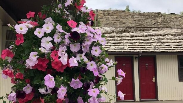 A hanging flower arrangement in front of a building with two red doors, numbered 131 and 132. - Country West Motel (Rock Springs)