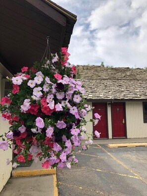 A hanging flower basket with pink and red flowers in front of a building with red doors. - Country West Motel (Rock Springs)