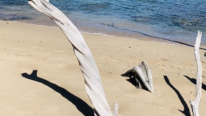 Une plage parsemée de bois flotté, avec une eau calme et un ciel dégagé.