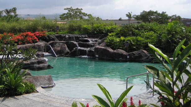 Une piscine agrémentée d’une cascade, entourée d’une végétation luxuriante et de plantes tropicales.