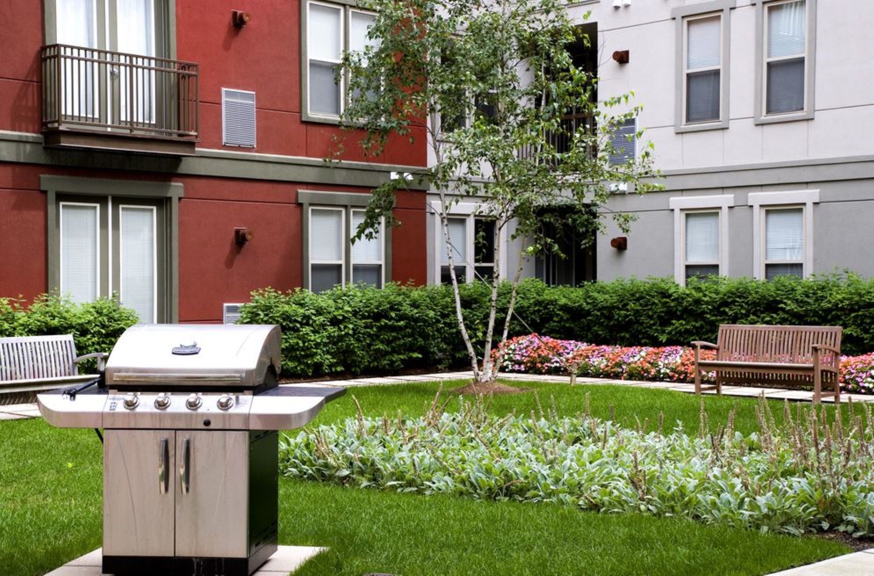 A courtyard with a barbecue grill, a bench, and a small tree.