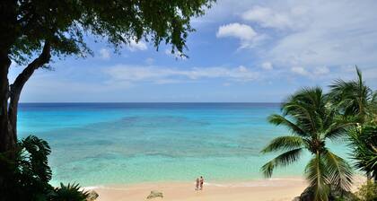 Secret Cove 1 by Altman