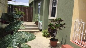 A narrow pathway leading to a building with a green exterior and a white door. There are potted plants along the path and a metal gate on the right. - Believe Caribbean Apartments (Bridgetown)