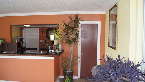 Una cocina con mostrador, planta en maceta y una puerta.