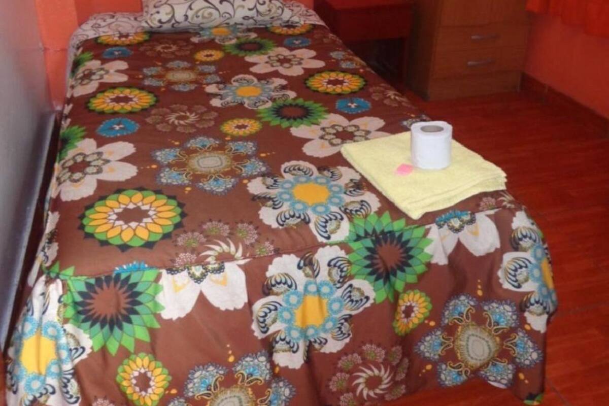Habitación individual, 1 cama individual | Wifi gratis