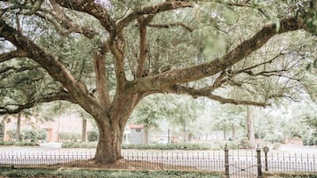 Jardín