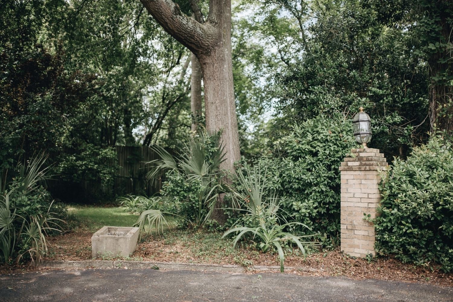 A stone pillar with a lantern on top, surrounded by dense greenery and trees.