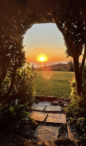 A stone pathway leading to a grassy area with a sunset view through a tree archway.