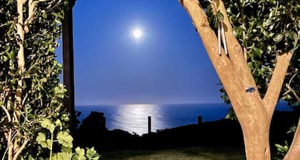 Ocean View - spectacular 180^ view close to Dudley beach,Blowhole and bush walks