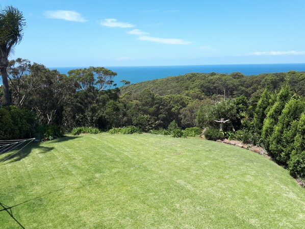 A grassy area with a hammock, dense trees, and a view of the ocean.
