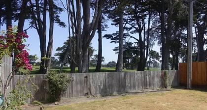 Mid-Century Modern Home in Daly City