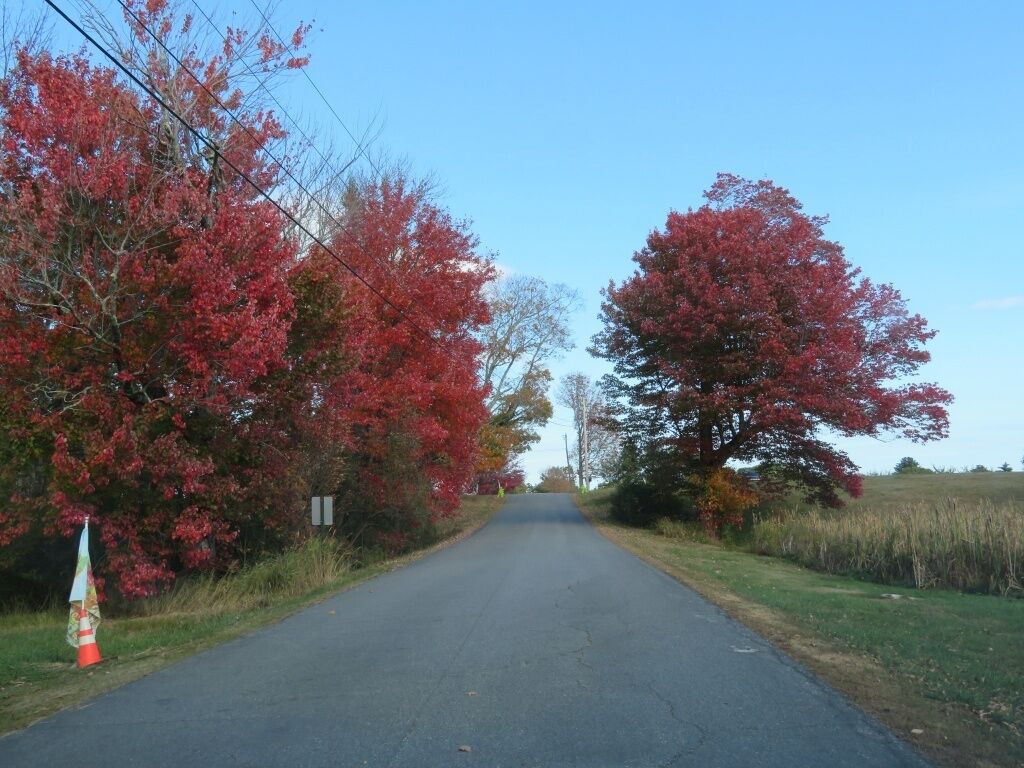 Una strada di campagna circondata da alberi con foglie rosse, un cielo sereno e un prato erboso.