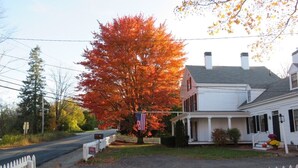 A white house with a porch, a mailbox, and an American flag. - "Tranquility Base" is a place where you can lose yourself in nature. (St George)