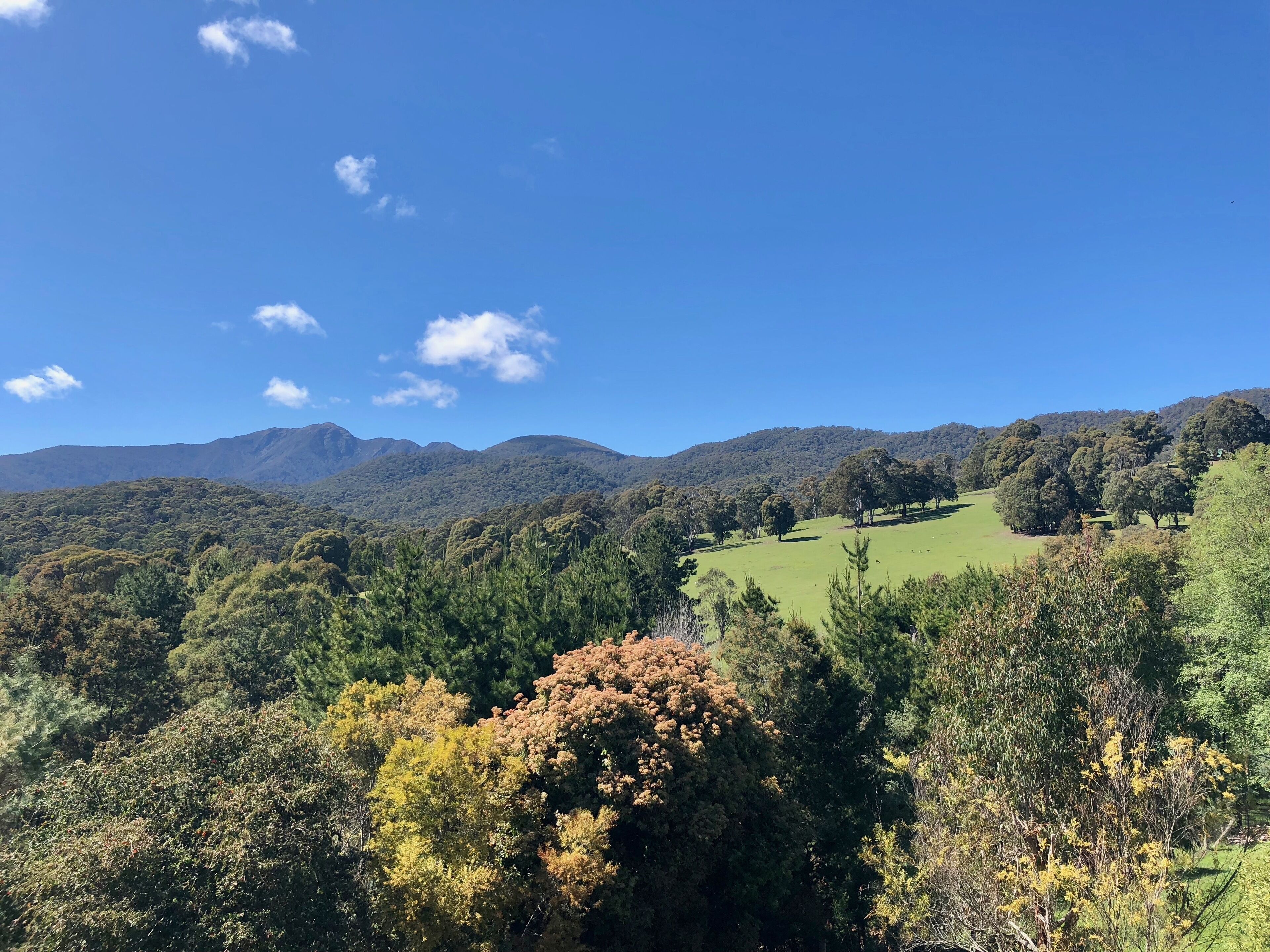 Un paisaje con una colina, árboles y cielo despejado.