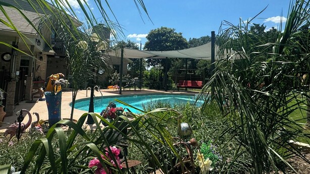 A pool area with a covered seating area, surrounded by lush greenery and potted plants.