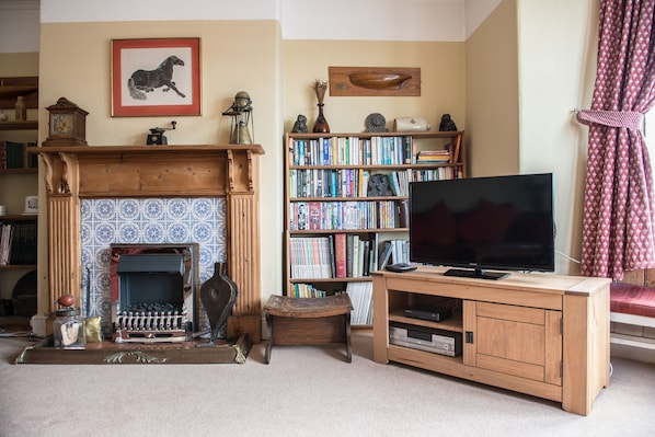 Smart TV, fireplace, DVD player, books