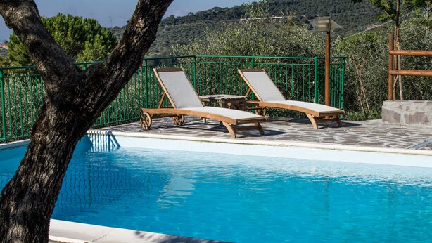 A pool with two wooden lounge chairs and a table, surrounded by a green fence and trees.
