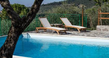 Kotilomat rakkaan uima-allas