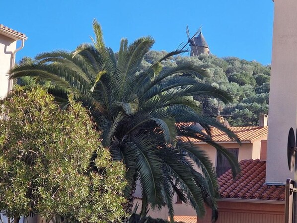 A building with a red-tiled roof and a palm tree in the foreground.