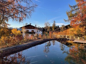 Property grounds - Chalet Ly's Nest, house on the mountain - with natural swimming pond and well-fenced park (Aldino)
