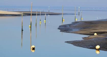 Taussat: Kaksi askeleen päässä rannasta, Villa "Poupille" remontoitu 10 nukkuu