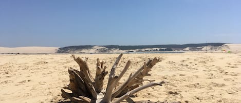 Una playa cerca