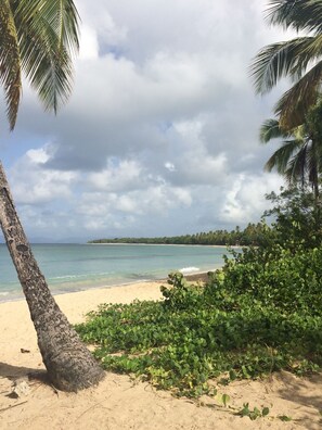 Beach nearby