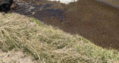 Aliza a 5 minutos del paseo marítimo