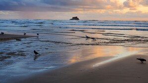 A beach with waves and birds. - Captain's House ~ amazing ocean view, 2 min walk to beach, near Cannon Beach (Arch Cape)