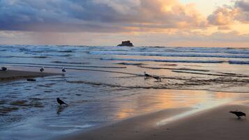 Playa en los alrededores, camastros y toallas de playa