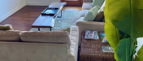 A spacious living room with a sofa, coffee table, and a large plant. There are two windows and a door leading to an outdoor area.