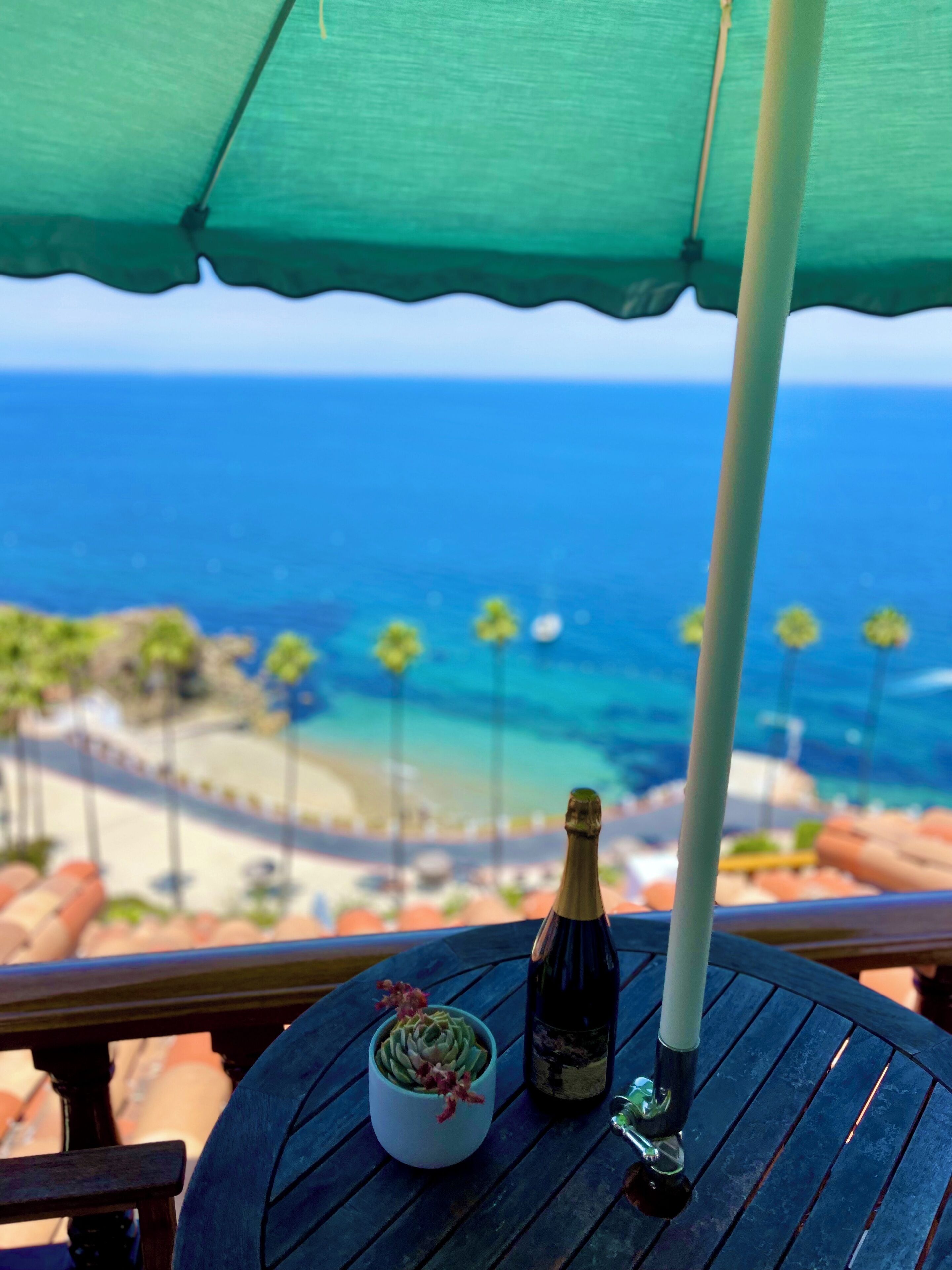 A table with a bottle of champagne, a small potted plant, and a bottle opener, overlooking a beach with palm trees and the ocean.