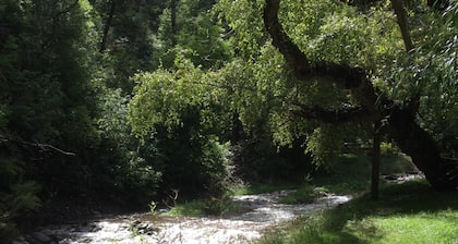 Relax at our River Front Cabin in Historic Upper Canyon