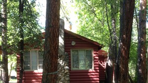 A rustic cabin with a stone foundation, surrounded by tall trees. - Relax at our River Front Cabin in Historic Upper Canyon  (Ruidoso)