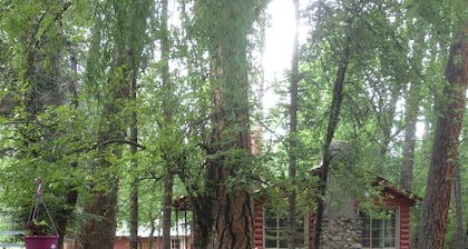 Relax at our River Front Cabin in Historic Upper Canyon