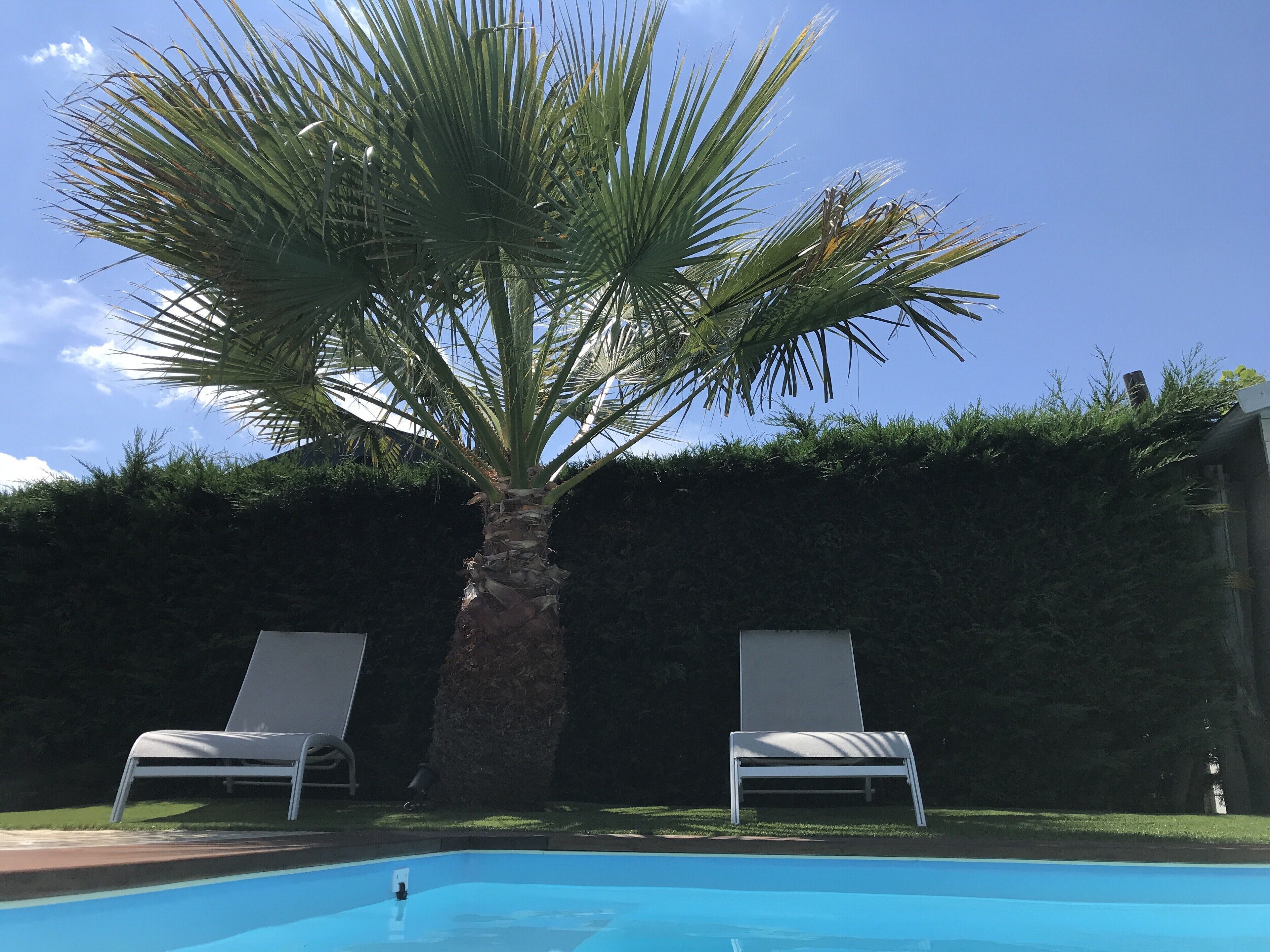 Utendørsbasseng og et oppvarmet basseng