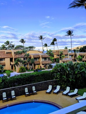 Una piscina al aire libre, una piscina climatizada