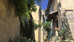 Un callejón estrecho con edificios de piedra, algunos con balcones y vegetación.